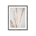 Picture of Whispy Pampas _GroupedProduct_Rectangle_Portrait_Photography _GroupedProduct_Rectangle_Portrait_Framed_Matted_