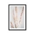 Picture of Whispy Pampas _GroupedProduct_Rectangle_Portrait_Photography _GroupedProduct_Rectangle_Portrait_Framed_Matted_