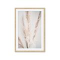 Picture of Whispy Pampas _GroupedProduct_Rectangle_Portrait_Photography _GroupedProduct_Rectangle_Portrait_Framed_Matted_