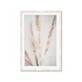 Picture of Whispy Pampas _GroupedProduct_Rectangle_Portrait_Photography _GroupedProduct_Rectangle_Portrait_Framed_Matted_