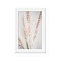 Picture of Whispy Pampas _GroupedProduct_Rectangle_Portrait_Photography _GroupedProduct_Rectangle_Portrait_Framed_Matted_