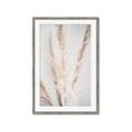 Picture of Whispy Pampas _GroupedProduct_Rectangle_Portrait_Photography _GroupedProduct_Rectangle_Portrait_Framed_Matted_