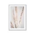 Picture of Whispy Pampas _GroupedProduct_Rectangle_Portrait_Photography _GroupedProduct_Rectangle_Portrait_Framed_Matted_