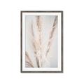 Picture of Whispy Pampas _GroupedProduct_Rectangle_Portrait_Photography _GroupedProduct_Rectangle_Portrait_Framed_Matted_