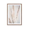 Picture of Whispy Pampas _GroupedProduct_Rectangle_Portrait_Photography _GroupedProduct_Rectangle_Portrait_Framed_Matted_