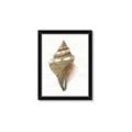 Picture of Sea Shell I _GroupedProduct_Rectangle_Portrait_Framed_Matted_