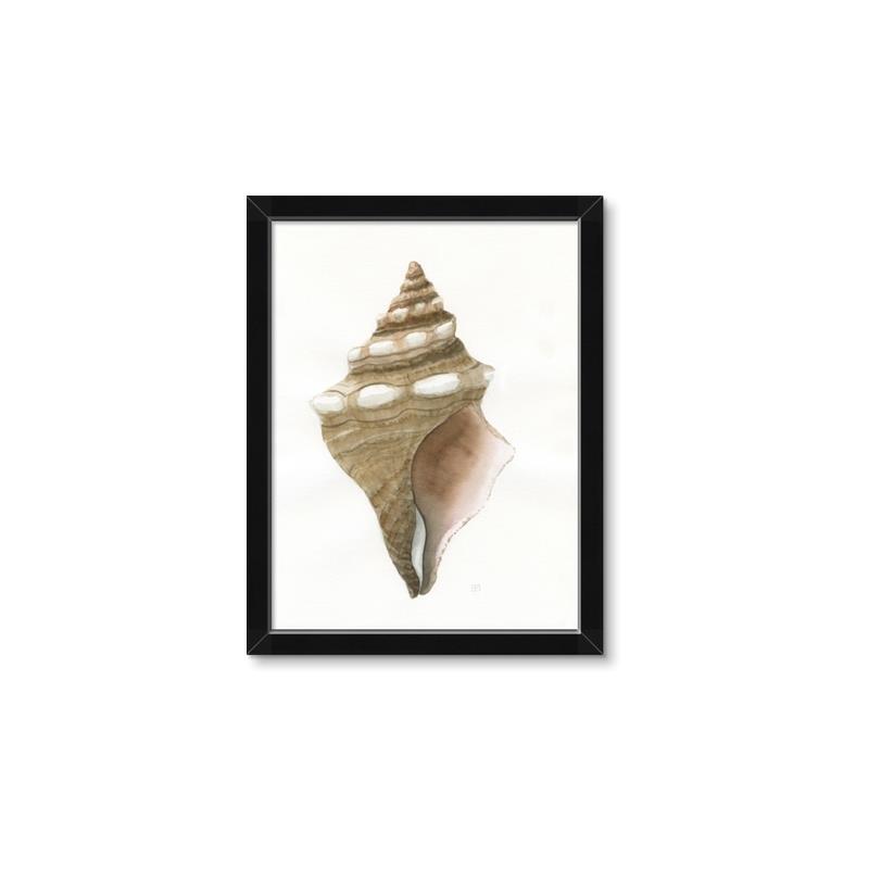 Picture of Sea Shell I _GroupedProduct_Rectangle_Portrait_Framed_Matted_