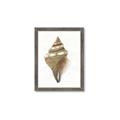 Picture of Sea Shell I _GroupedProduct_Rectangle_Portrait_Framed_Matted_