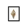 Picture of Sea Shell I _GroupedProduct_Rectangle_Portrait_Framed_Matted_