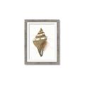Picture of Sea Shell I _GroupedProduct_Rectangle_Portrait_Framed_Matted_