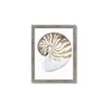 Picture of Sea Shell II _GroupedProduct_Rectangle_Portrait_Framed_Matted_