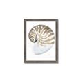 Picture of Sea Shell II _GroupedProduct_Rectangle_Portrait_Framed_Matted_