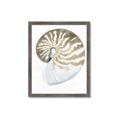 Picture of Sea Shell II _GroupedProduct_Rectangle_Portrait_Framed_Matted_