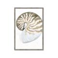 Picture of Sea Shell II _GroupedProduct_Rectangle_Portrait_Framed_Matted_