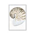Picture of Sea Shell II _GroupedProduct_Rectangle_Portrait_Framed_Matted_