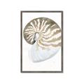 Picture of Sea Shell II _GroupedProduct_Rectangle_Portrait_Framed_Matted_