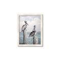 Picture of Observing Pelicans _GroupedProduct_Rectangle_Portrait_Framed_Matted_