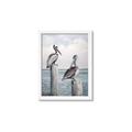 Picture of Observing Pelicans _GroupedProduct_Rectangle_Portrait_Framed_Matted_