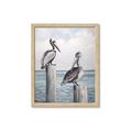 Picture of Observing Pelicans _GroupedProduct_Rectangle_Portrait_Framed_Matted_