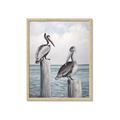 Picture of Observing Pelicans _GroupedProduct_Rectangle_Portrait_Framed_Matted_