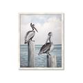 Picture of Observing Pelicans _GroupedProduct_Rectangle_Portrait_Framed_Matted_