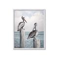 Picture of Observing Pelicans _GroupedProduct_Rectangle_Portrait_Framed_Matted_