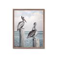 Picture of Observing Pelicans _GroupedProduct_Rectangle_Portrait_Framed_Matted_