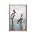 Picture of Observing Pelicans _GroupedProduct_Rectangle_Portrait_Framed_Matted_
