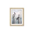 Picture of Observing Pelicans _GroupedProduct_Rectangle_Portrait_Framed_Matted_