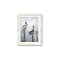 Picture of Observing Pelicans _GroupedProduct_Rectangle_Portrait_Framed_Matted_