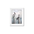 Picture of Observing Pelicans _GroupedProduct_Rectangle_Portrait_Framed_Matted_