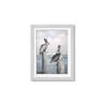 Picture of Observing Pelicans _GroupedProduct_Rectangle_Portrait_Framed_Matted_