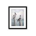 Picture of Observing Pelicans _GroupedProduct_Rectangle_Portrait_Framed_Matted_