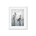 Picture of Observing Pelicans _GroupedProduct_Rectangle_Portrait_Framed_Matted_