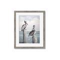 Picture of Observing Pelicans _GroupedProduct_Rectangle_Portrait_Framed_Matted_