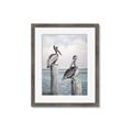 Picture of Observing Pelicans _GroupedProduct_Rectangle_Portrait_Framed_Matted_