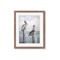 Picture of Observing Pelicans _GroupedProduct_Rectangle_Portrait_Framed_Matted_