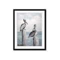 Picture of Observing Pelicans _GroupedProduct_Rectangle_Portrait_Framed_Matted_