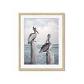 Picture of Observing Pelicans _GroupedProduct_Rectangle_Portrait_Framed_Matted_