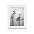 Picture of Observing Pelicans _GroupedProduct_Rectangle_Portrait_Framed_Matted_
