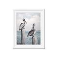 Picture of Observing Pelicans _GroupedProduct_Rectangle_Portrait_Framed_Matted_