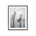 Picture of Observing Pelicans _GroupedProduct_Rectangle_Portrait_Framed_Matted_