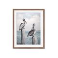 Picture of Observing Pelicans _GroupedProduct_Rectangle_Portrait_Framed_Matted_
