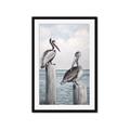 Picture of Observing Pelicans _GroupedProduct_Rectangle_Portrait_Framed_Matted_