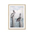 Picture of Observing Pelicans _GroupedProduct_Rectangle_Portrait_Framed_Matted_