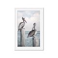 Picture of Observing Pelicans _GroupedProduct_Rectangle_Portrait_Framed_Matted_