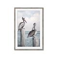 Picture of Observing Pelicans _GroupedProduct_Rectangle_Portrait_Framed_Matted_