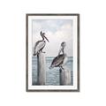 Picture of Observing Pelicans _GroupedProduct_Rectangle_Portrait_Framed_Matted_