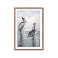 Picture of Observing Pelicans _GroupedProduct_Rectangle_Portrait_Framed_Matted_