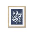 Picture of Navy Coral I  _GroupedProduct_Rectangle_Portrait_Framed_Matted_